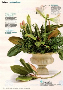 I loved making this Southern-themed bouquet, with evergreen magnolia foliage, boxwood and amaryllis clipped from a potted potted plant.