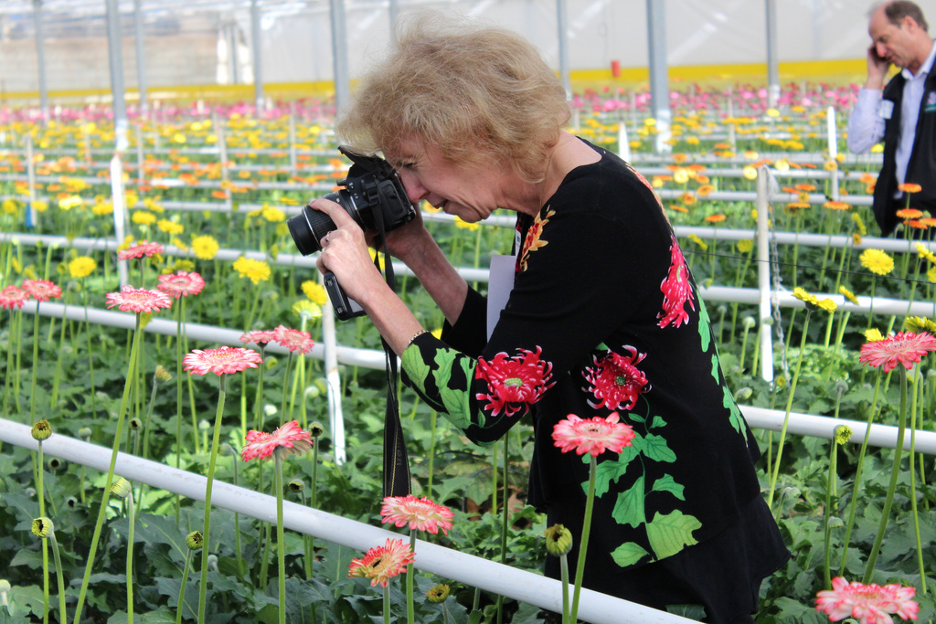 Diana Roy, a board member of the California Cut Flower Industry and active protea promoter.