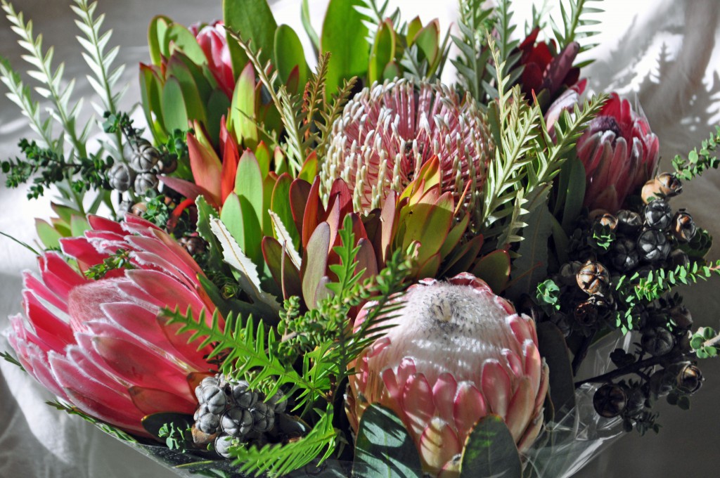 Protea is a dazzling native South African flower that has adapted to California's benign growing climate - thus, perfect for the American-grown cut flower industry.