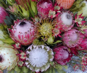 A Resendiz bouquet in which Protea is paired with Pincushion flower (Leucospermum).