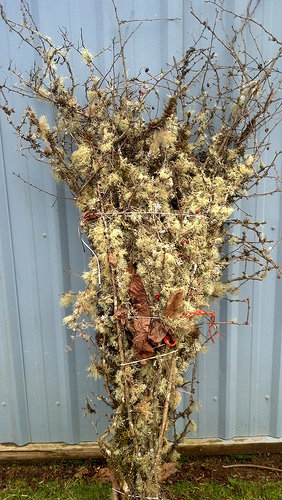 Mossy branches - a signature product offering.