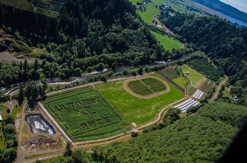 Here's an arial view of Oregon Coastal Flowers where you can spot the full-size competitive race track amidst the fields.