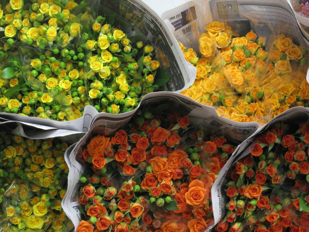 There's a huge selection of local California-grown roses . . . in awesome colors~