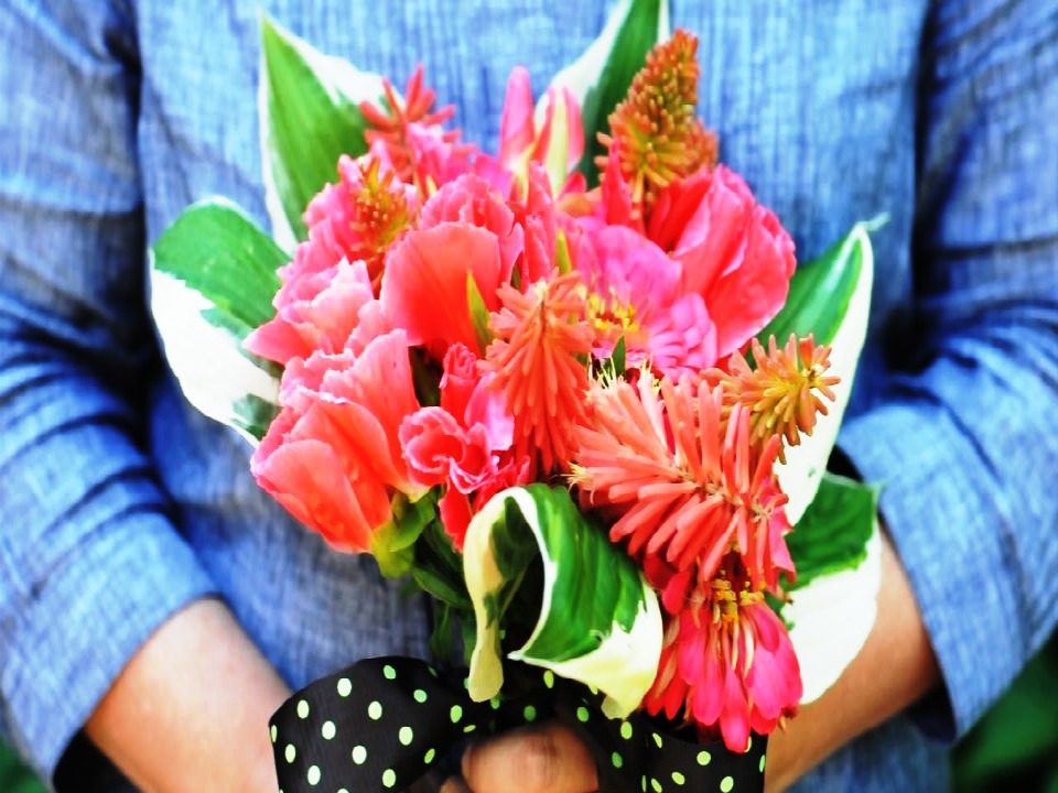 Three types of coral flowers - a Monochromatic bouquet.