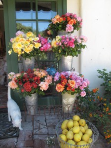 The display in front of the rose boutique. . . what can I say? It's so enticing!