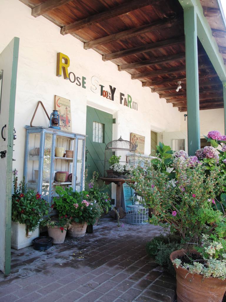 The old horse stables at Rose Story Farm are now the headquarters for this thriving specialty cut flower business.