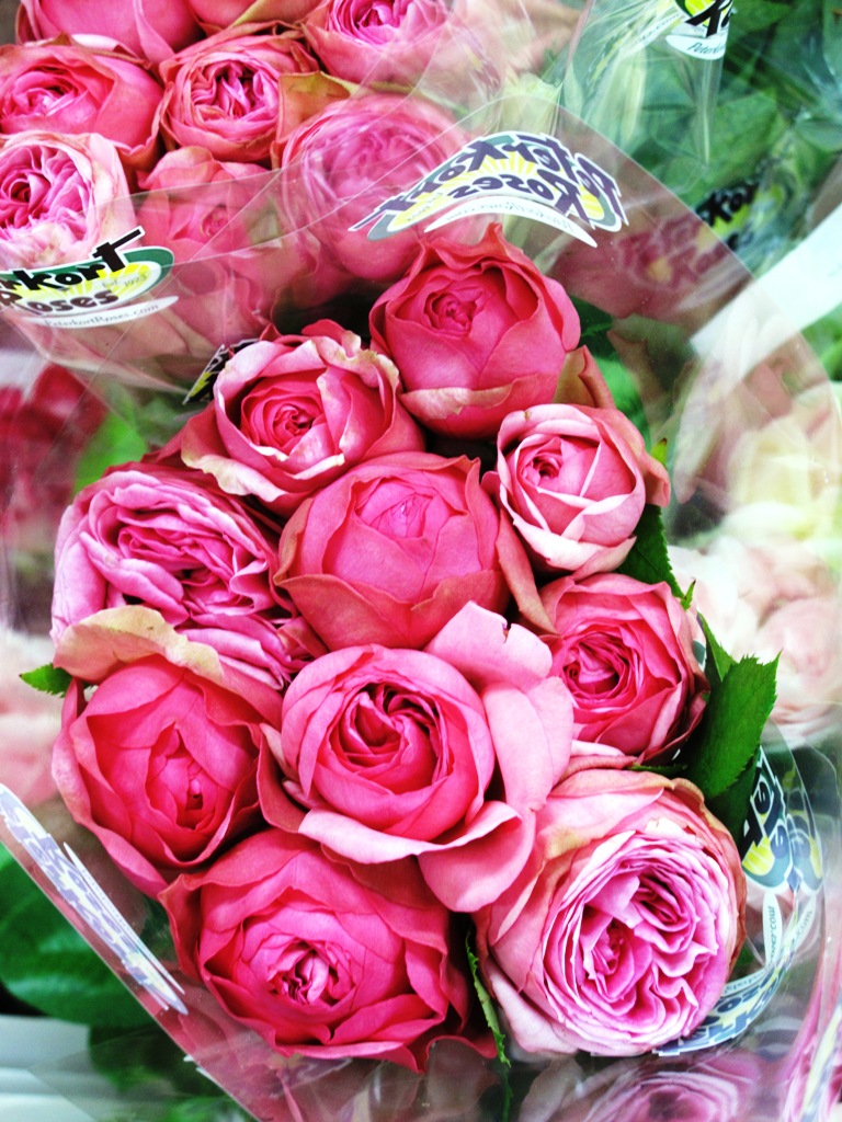 Stunning pink rose blooms - perfect for your sweetheart.