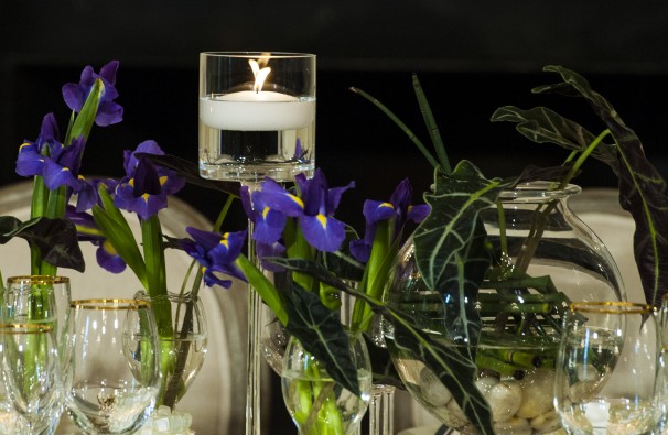 (c) Washington Post image of California irises and Florida tropical foliage.