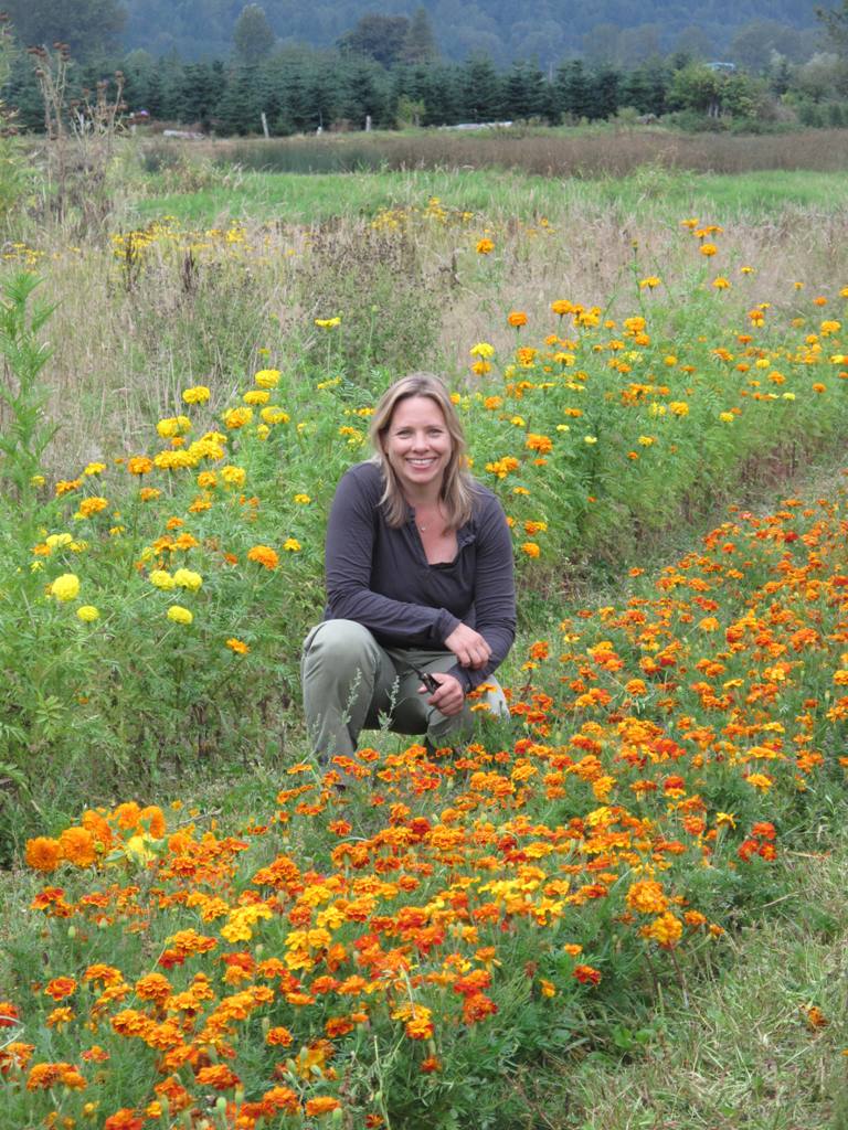 Katherine, surrounded by marigolds - at her growing fields, a part of Oxbow Farm, east of Seattle.
