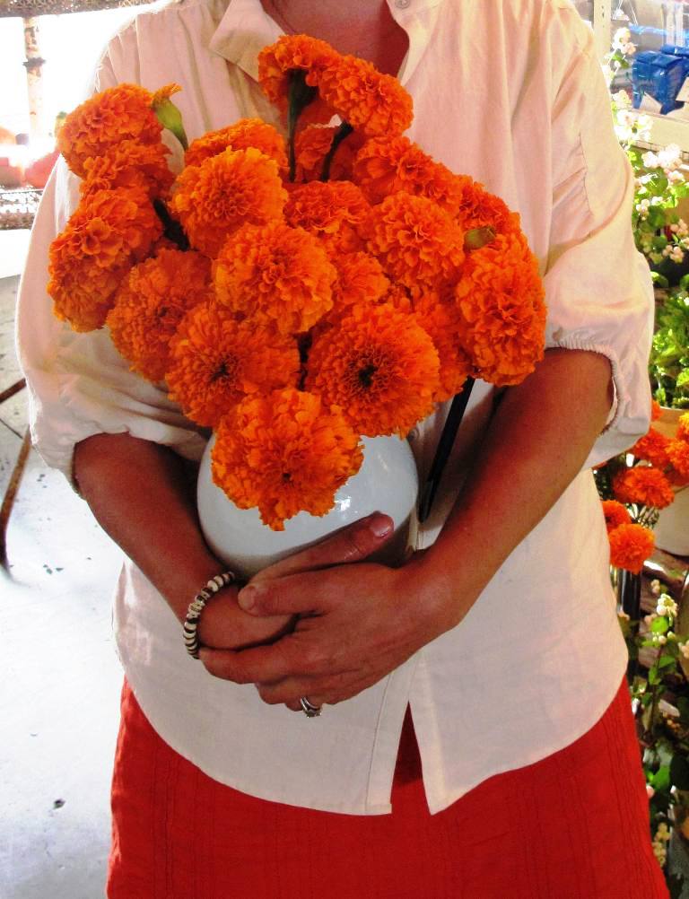 Katherine's arms are filled with vivid orange marigolds, just harvested at the height of the season.
