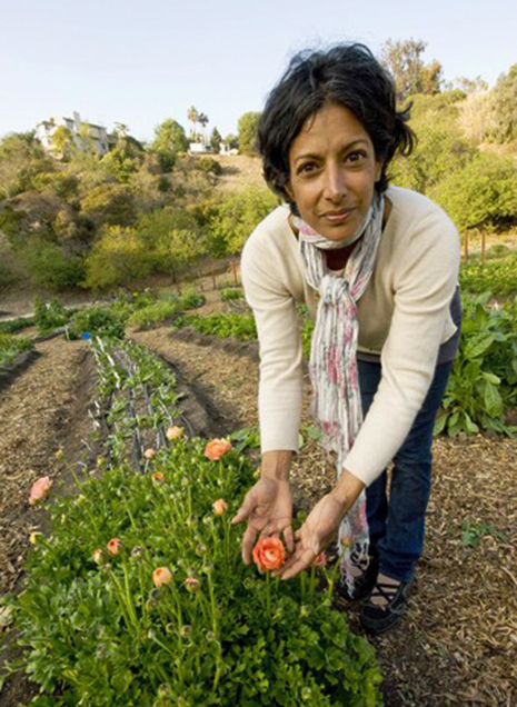 Urban flower farmer Tara  Kolla, owner of Silver Lake Farms in Los Angeles.