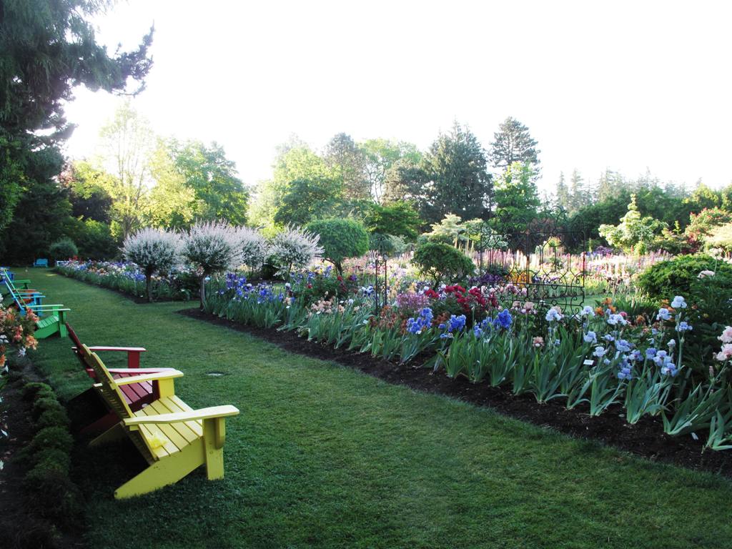 Love these colorful benches at Schreiner's Iris Farm.