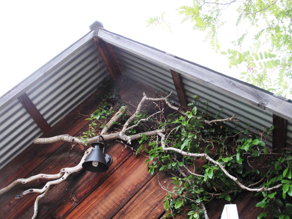 Love how an old branch becomes a "trellis" under the eaves.