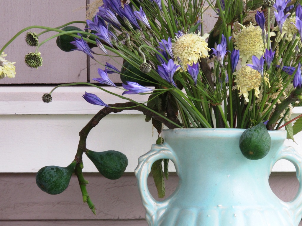 Here, I paired unripe fig branches with brodiaea and white scabiosa in a pale aqua McCoy jug.