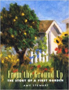 Amy's first book, "From the Ground Up," was published in 2001 by Algonquin Books.