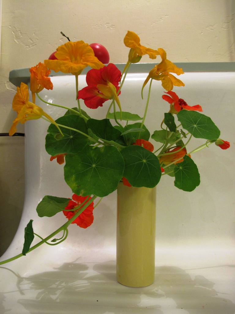 A bud vase displays charming nasturtium flowers and foliage, on the edge of the kitchen's vintage farm sink.