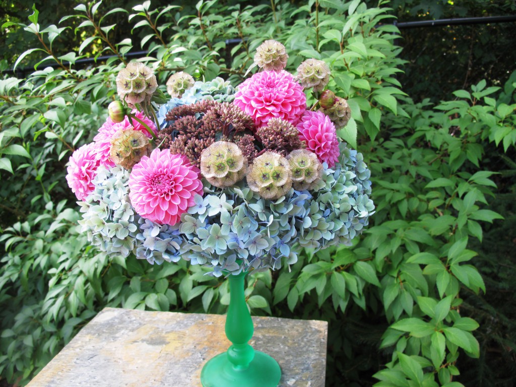 Next, I incorporated small pink dahlias and Scabiosa stellata (the pingpong style scabiosa).