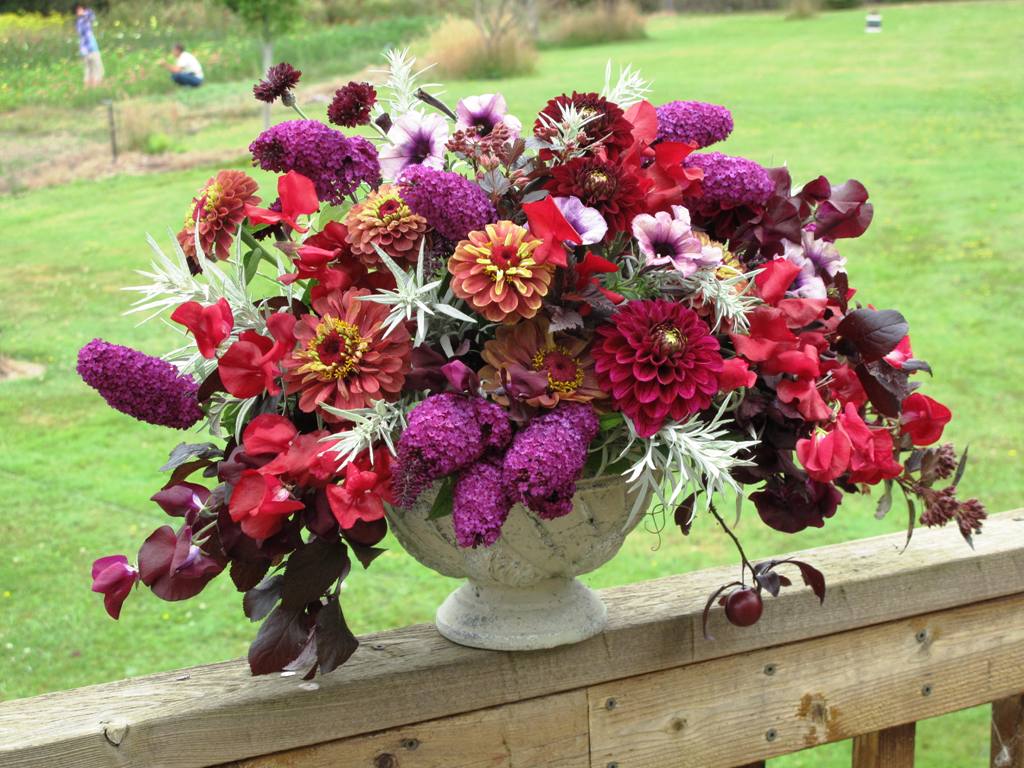 Alicia's gorgeous bouquet using all local and seasonal ingredients from Everyday Flowers.