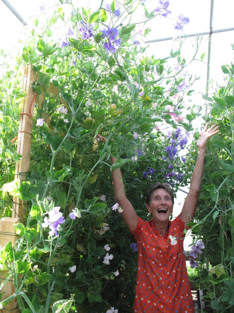 This shot is a little silly, but viv humored me when  I asked her to reach for the top of the sweet pea trellises!