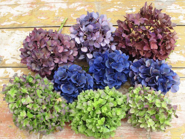 Start with some gorgeous garden hydrangeas, at the perfect moment in late summer when you can pick them for drying.