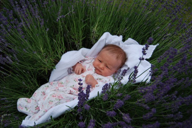 The Camerons' little granddaughter looks charming (and seems to be dreaming about lavender) in the fields.