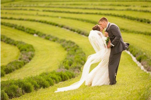 A couple poses between the gently curving rows of lavender at Destiny Hill Farm.
