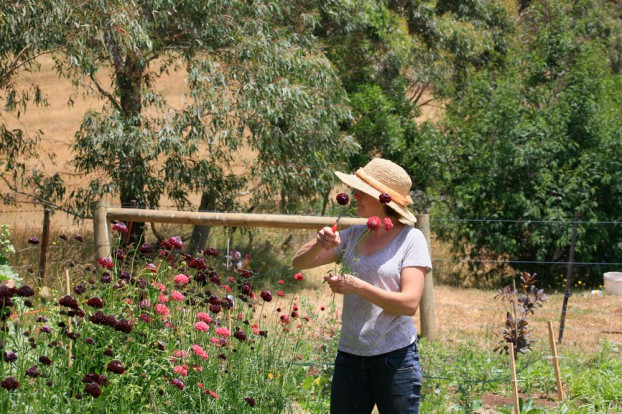 Lindsey at The Little Flower Farm (LindseyMyra.com)