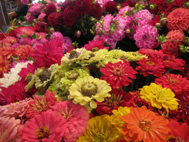 Add in a few zinnias and you have an incredibly eye-pleasing floral palette.