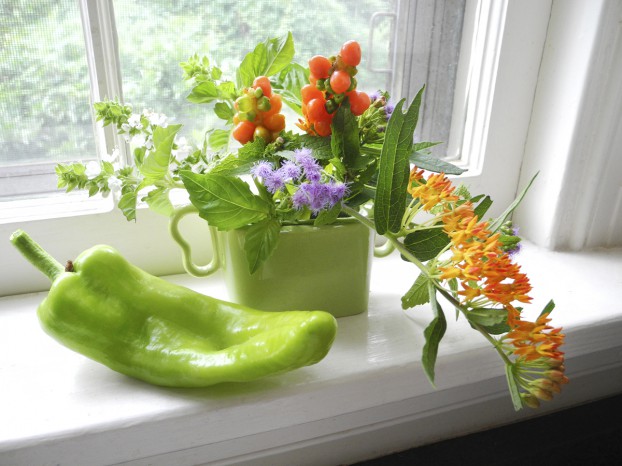 Gifts from the kitchen and herb garden compose a lovely still-life on Nancy's windowsill.