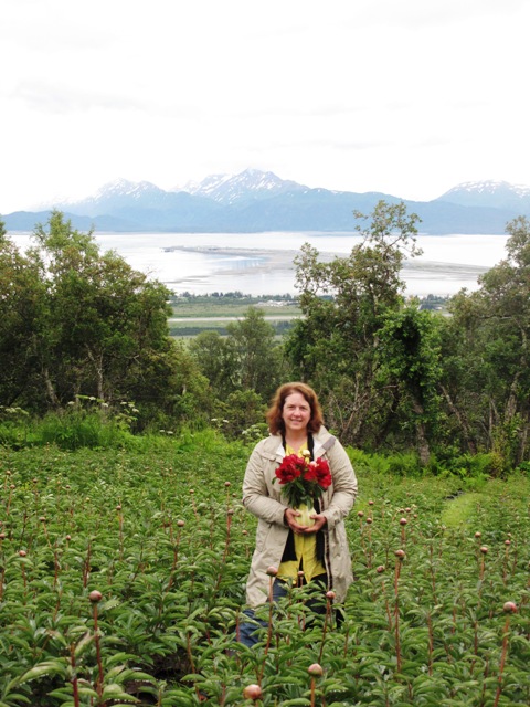 What could be more amazing that to stand in a field of peonies with the amazing Alaska glaciers in the distance?