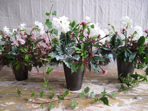 Three vases filled with festive and LOCAL vines, leaves, branches, blooms, buds and JOY!