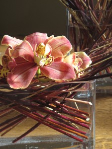 Red twig dogwood (Cornus sericea) with Cymbidium 'Sleeping Dream Castle'.