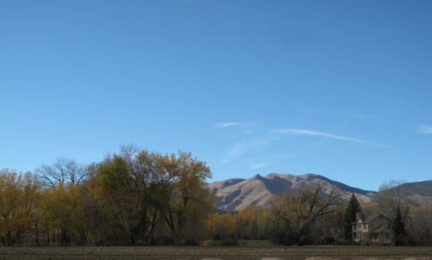 The big, blue, Colorado sky, as captured on my visit last November. Wow! I know why this place is so special to the Anderson family.