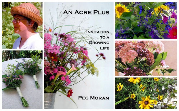 Peg Moran, Connecticut flower farmer and author of "An Acre Plus: Invitation to A Growing Life"
