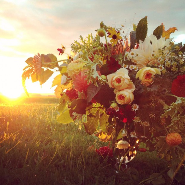 Backlighting lends a Southwest glow to this Floriography bouquet.