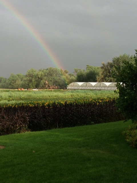 The Fresh Herb Co. Farm, in a pre-flood photo Kristy recently shared.