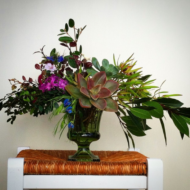 A beautiful January bouquet submitted by Winnie Pitrone, a flower grower and arranger in Mendocino, Ca who uses only seasonal, local flora from her garden or nearby gardens.