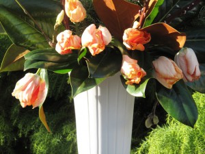 Magnolia foliage with spring tulips