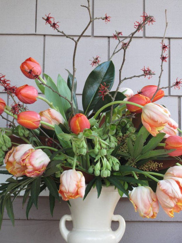 My vintage cream McCoy vase is filled with magnolia foliage, pieris, hellebore flowers and foliage, witch hazel and local tulips. 