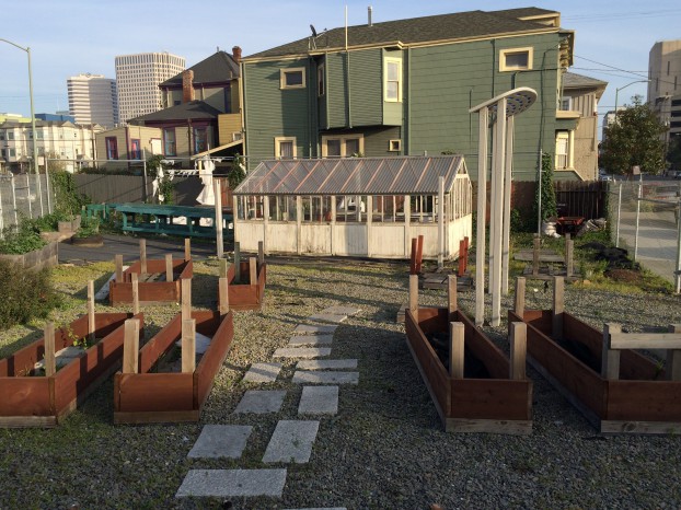 The mini flower farm, located in Oakland on less than 2,500 square feet. It's ready to be joined by a new 2-acre parcel nearby.