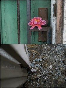 Re-flowering an abandoned home in Detroit - a glimpse of Lisa Waud's grand idea (c) Heather Saunders Photography.