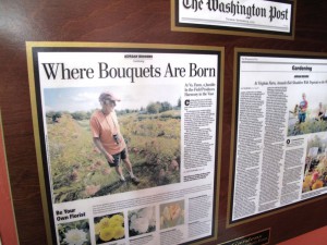 In 2009, the Washington Post featured Wollam Gardens in a big story.