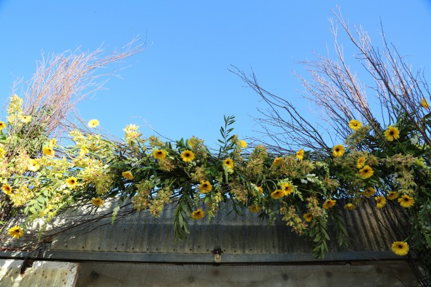 The top of the entry arbor towered above the doorway to the orchid greenhouse. (Linda Blue/CCFC)