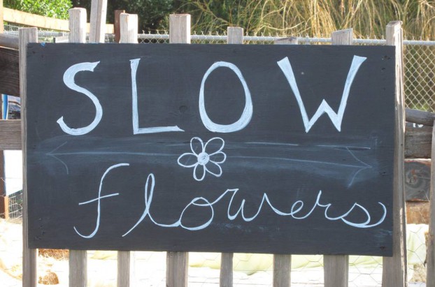 Slow Flowers at the Slow Coast. Thanks to everyone at SlowCoast.org for the warm welcome!