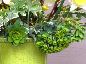 A detail from a spring arrangement featured in Slow Flowers, with donkey tail spurge (Euphorbia myrsinites)