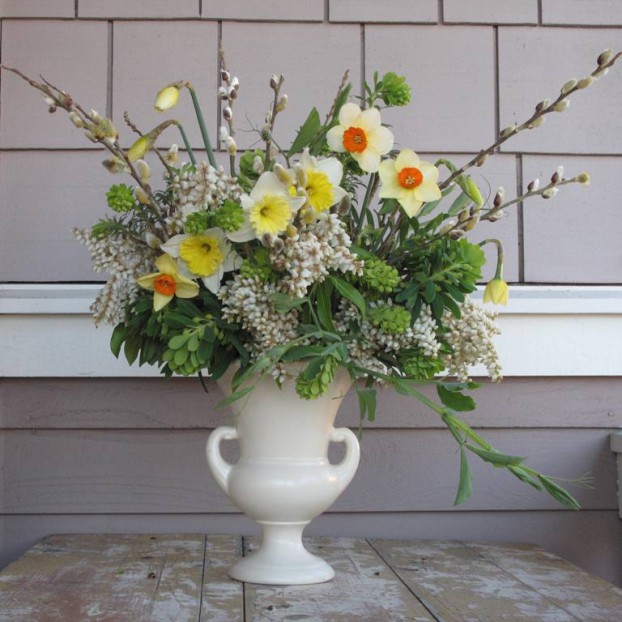 Springtime (almost) in a vase with flowers from my Seattle garden and pussy willow branches from a local farm.