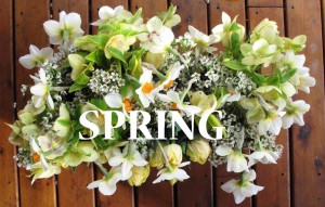 Welcome Spring!!