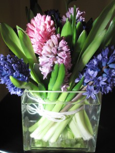 A sweet bunch of spring hyacinths, from Slow Flowers.