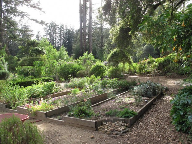 Another view, including the veggie and herb garden in the foreground.