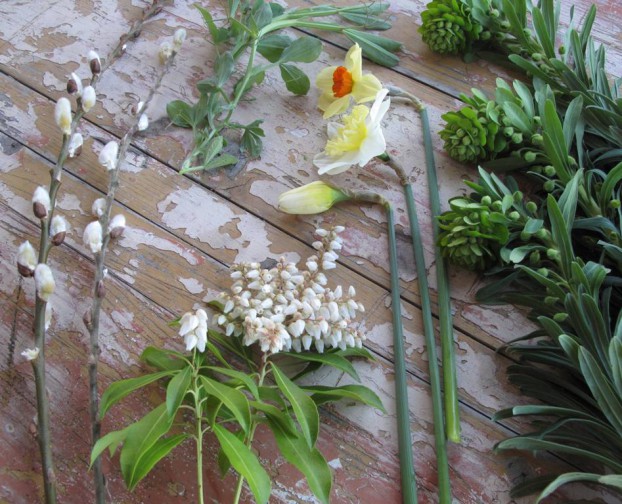Ingredients, clockwise from left:  Pussy willow, sweet pea tendrils, various daffodils, spurge (Euphorbia characias) and Pieris japonica.